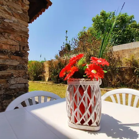 Apartment Allipatuli