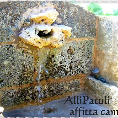 דירה Allipatuli *