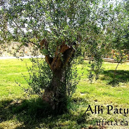 Allipatuli גאליפולי