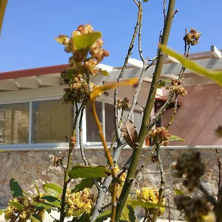 Apartment Allipatuli