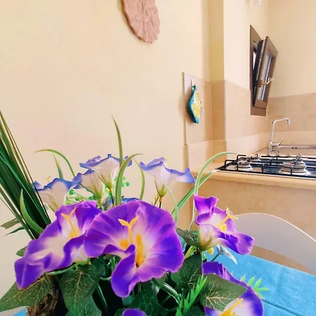 Allipatuli Apartment