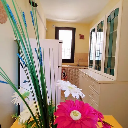 Allipatuli גאליפולי