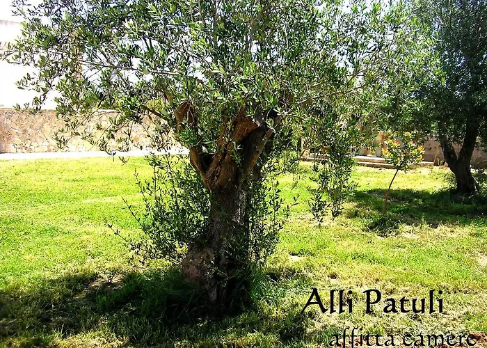 Allipatuli Gallipoli