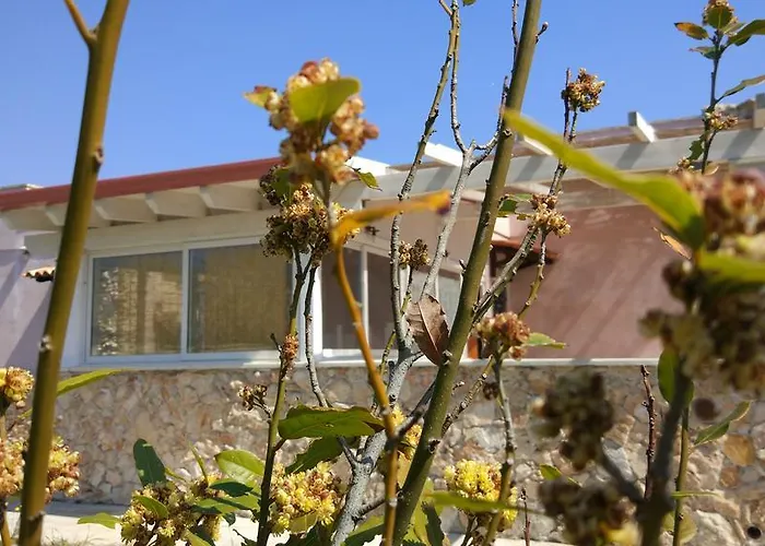 Апартаменти Allipatuli